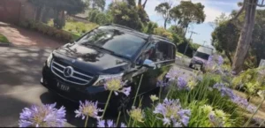 A black Mercedes-Benz V-Class luxury passenger van parked on a sunny residential street behind purple flowers.