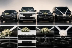 Luxury wedding car lineup of premium chauffeur cars