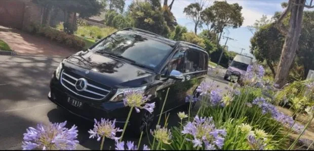 luxury chauffeur car people mover
